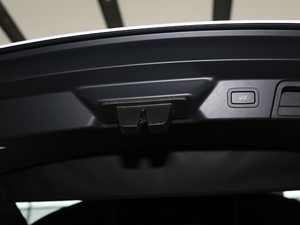 2018P380 R-DYNAMIC HSE g