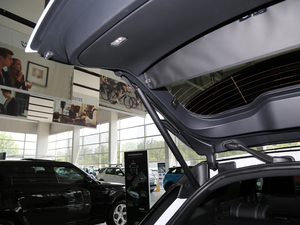 2018P380 R-DYNAMIC HSE g