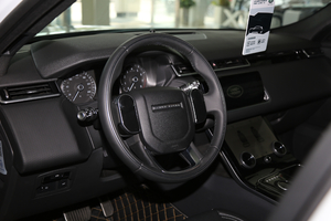 2018P380 R-DYNAMIC HSE P