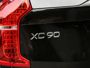 2019T6 Ű 7 (x)(ji)^