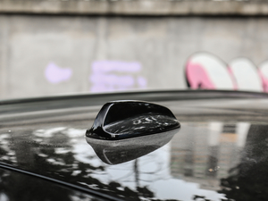 2019T6 Ű 7 (x)(ji)^