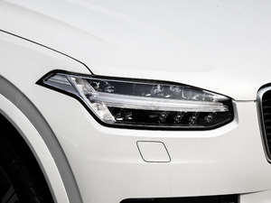 2019T6 \(yn)(dng) 7 (x)(ji)^