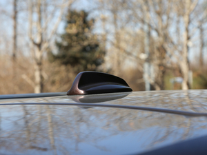 2019E(q)(dng) T8  7 (x)(ji)^