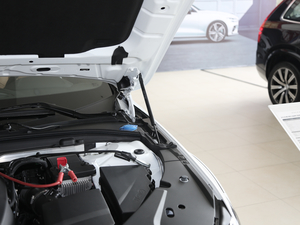 2020款改款 T5 AWD 智远版 其它