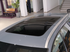 2021款B5 AWD 智尊版 车顶