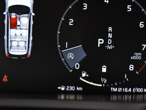 2022B6 źA 7 п؅^(q)