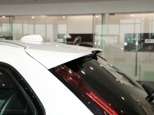 2024Cross Country B5 AWD h ^