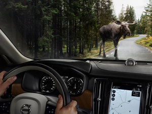 20162.0T T6 AWD п؅^