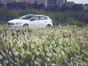 20172.0T T5 AWDŰ w^