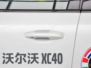 2019款T5 四驱运动 日暮水晶白 主驾门拉手