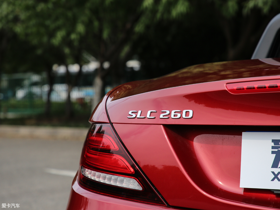 2018YSLC 260 (dng)