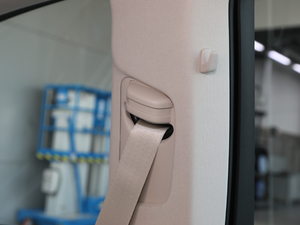 2020GLE 350 4MATIC A g