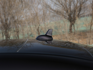 2019S 320 L (x)(ji)^