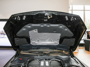 2019款S 350 L 豪华型 其它