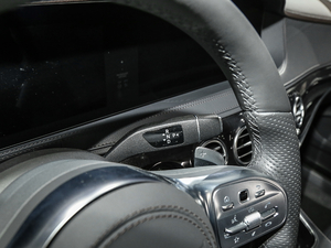 2019款臻藏版 S 500 L 4MATIC 换挡杆