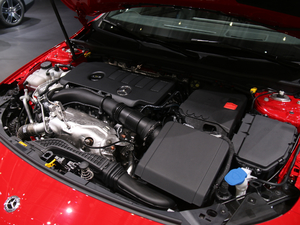 2019款基本型 其它
