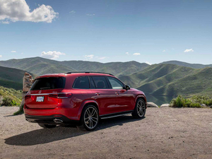 2020GLS 450 4MATIC A w^