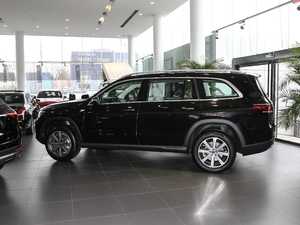 2020GLS 450 4MATIC Ӹ (c)