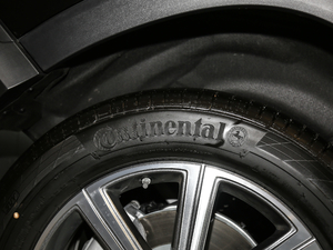 2020GLS 450 4MATIC Ӹ ݆̥Ʒ