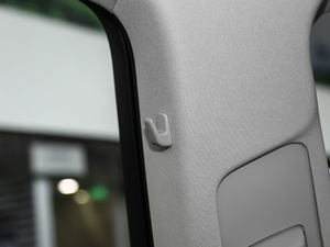 2020GLS 450 4MATIC Ӹ g