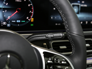 2020GLS 450 4MATIC Ӹ QU