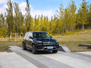 2020GLS 450 4MATIC A w^