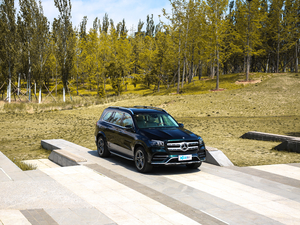 2020GLS 450 4MATIC A w^