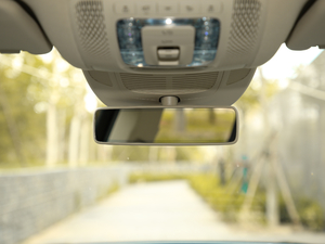 2020GLS 450 4MATIC A ܇ȺҕR