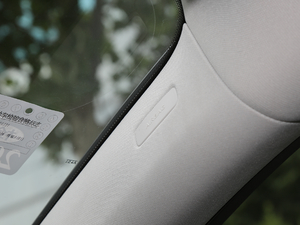 2020GLE 450 4MATIC r g