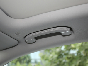 2020GLE 450 4MATIC r g