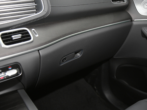 2020GLE 450 4MATIC r g