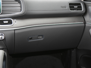 2020GLE 450 4MATIC r g