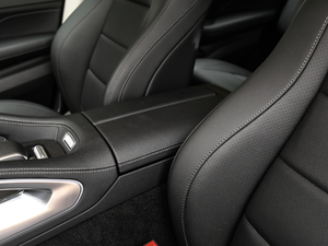 2020GLE 450 4MATIC r g