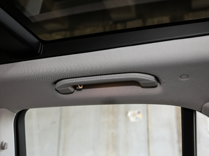 2020GLE 450 4MATIC r g