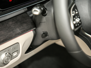 2020GLE 450 4MATIC r g