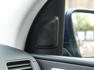 2020GLE 450 4MATIC r g