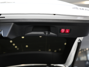 2020GLE 350 4MATIC A g