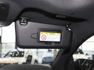 2020GLE 350 4MATIC r g