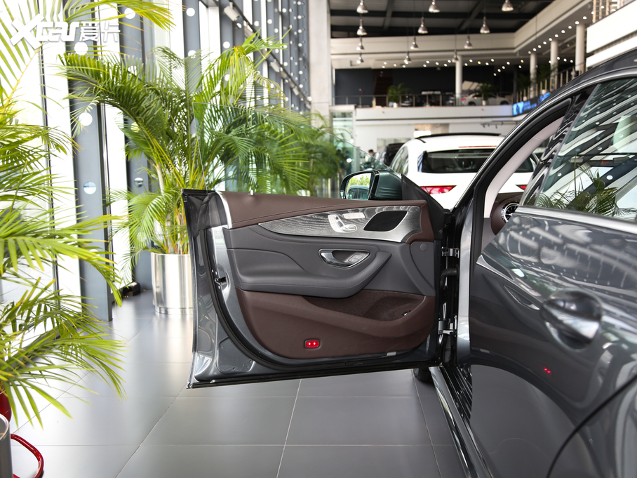 2020YCLS CLS 300 (dng)