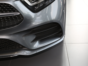 2020CLS 300 (dng) (x)(ji)^