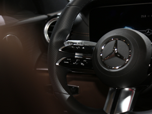 2021E 300 \(yn)(dng) п؅^(q)