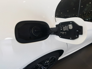 2021Ŀ E 300 \(yn)(dng) w