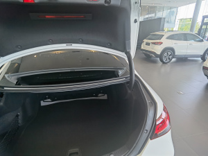 2021Ŀ E 300 \(yn)(dng) g