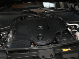 2021款S 450 L 4MATIC 其它