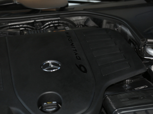 2021款S 450 L 4MATIC 其它