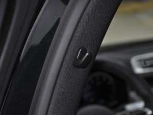 2021S 450 L 4MATIC g