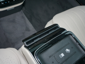 2021Ŀ S 450 L 4MATIC g