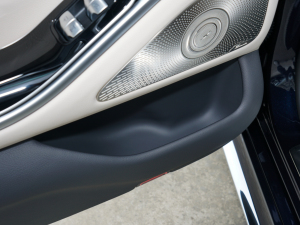 2021Ŀ S 450 L 4MATIC g