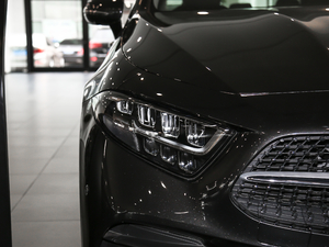 2021CLS 300 (dng) (x)(ji)^