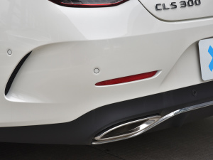 2021Ŀ CLS 300 A (ji)^